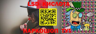 ПСИЛОЦИБИНОВЫЕ ГРИБЫ Кингисепп