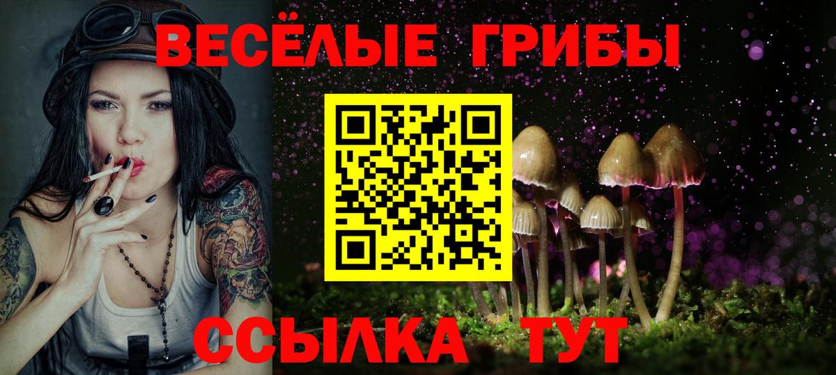 Псилоцибиновые грибы мицелий Зерноград