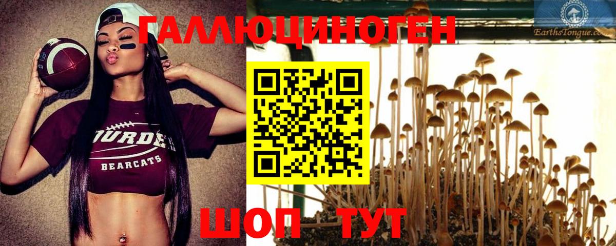 Зерноград  Галлюциногенные грибы Magic Shrooms  Вход с VPN 